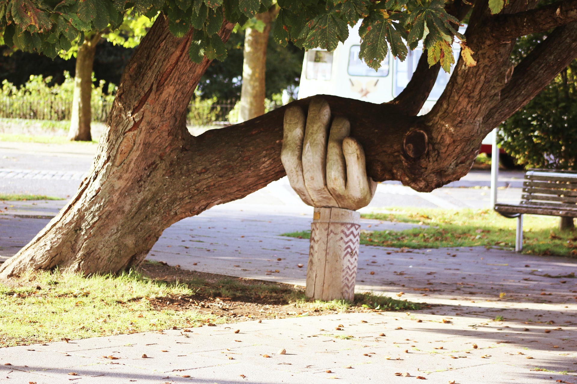 A large tree trunk growing close to the ground. A big wooden hand has been placed under it to support it